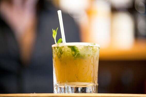 צילום: טל ציקורל